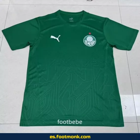 Camiseta Palmeiras 2025-2026 Concepto Verde - Edición Especial | Envío a Domicilio